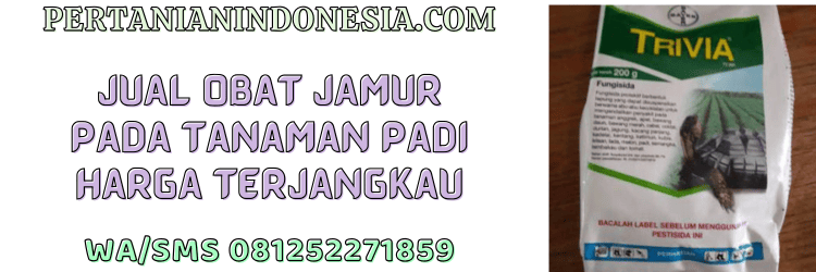 jual,murah,terjangkau,toko pertanian terdekat,pertanian indonesia